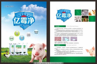 探索生命科学 如何设计一份引人入胜的生物科技产品单页