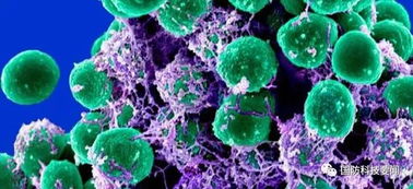 合成生物技术 美陆军医药领域研发的战略新焦点