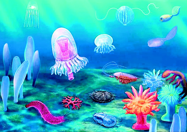 湖北长阳发现5.18亿年前清江生物群 医药领域的技术开发新宠