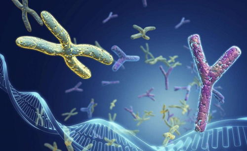 超越自然法则？探秘能孤雌生殖与自我复制的神秘生物