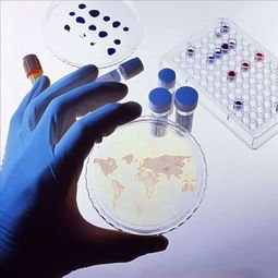 2017年生物制品批签发年报 疫苗质量安全可控